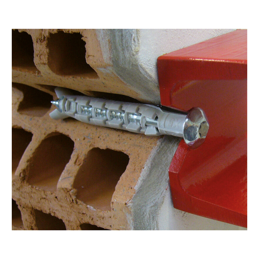 FPN SAFER application image